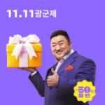 알리익스프레스 광군제